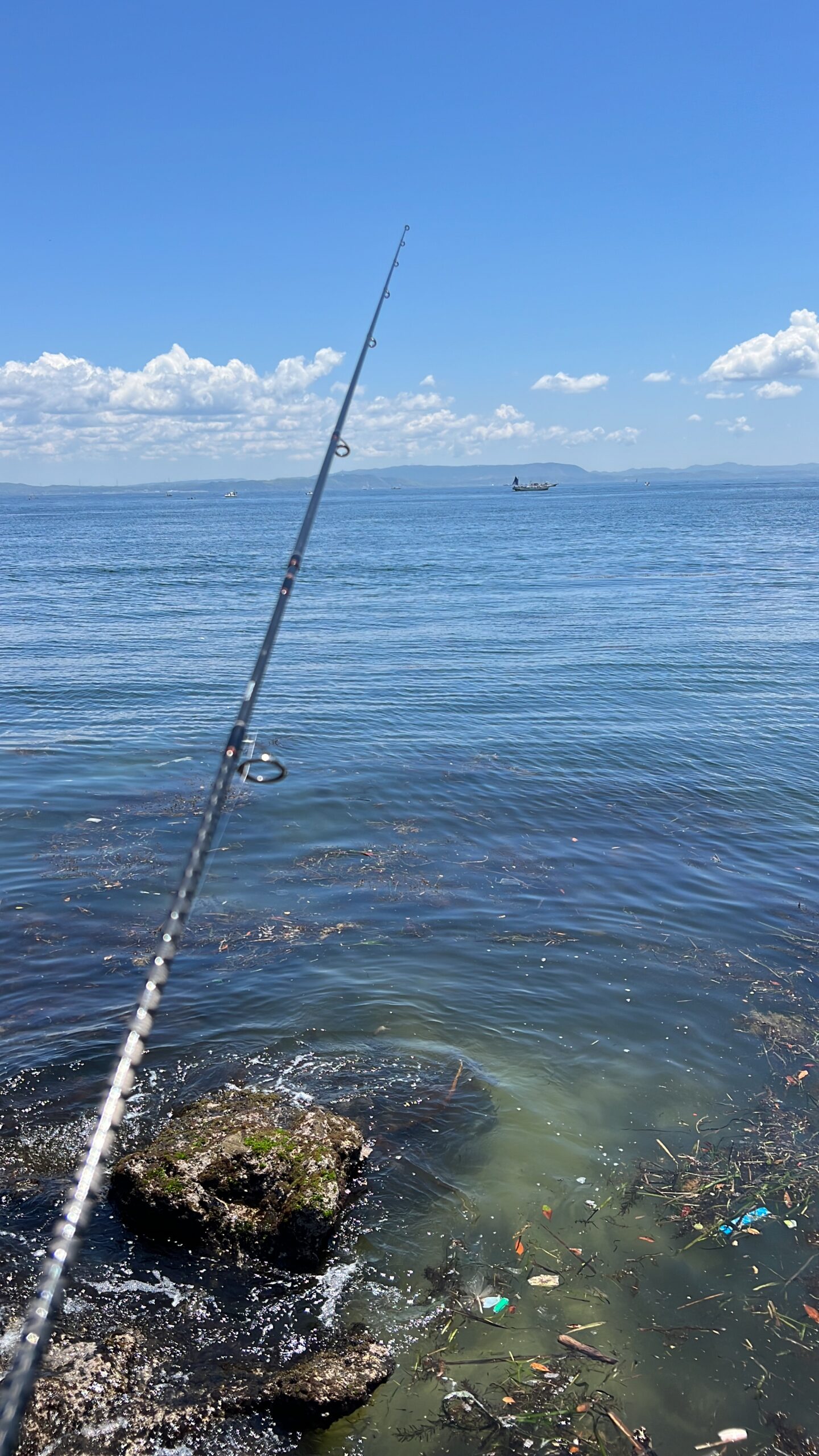 三浦に釣りをしに行ってみた